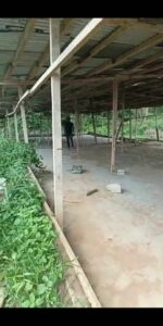 Ferme de poulet déjà en production