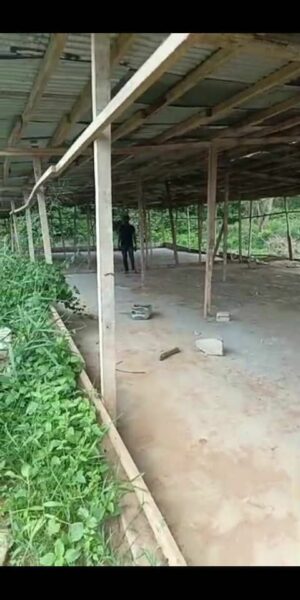 Ferme de poulet déjà en production