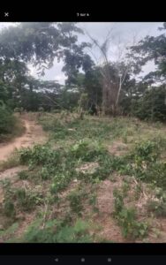 Terre agricole à louer à TOUMODI