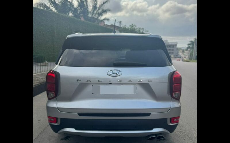 Location d'une Hyundai Palissade