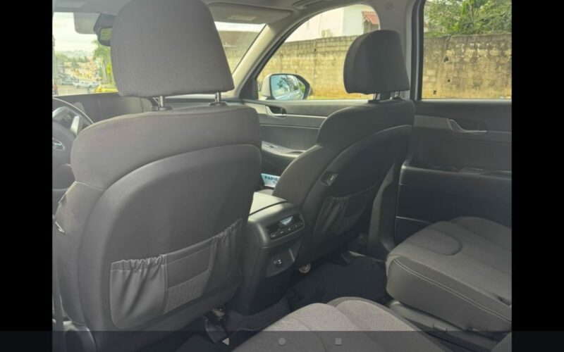 Location d'une Hyundai Palissade