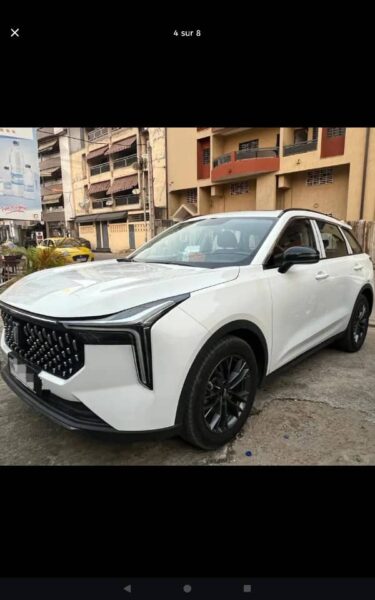 Location Bestune T55