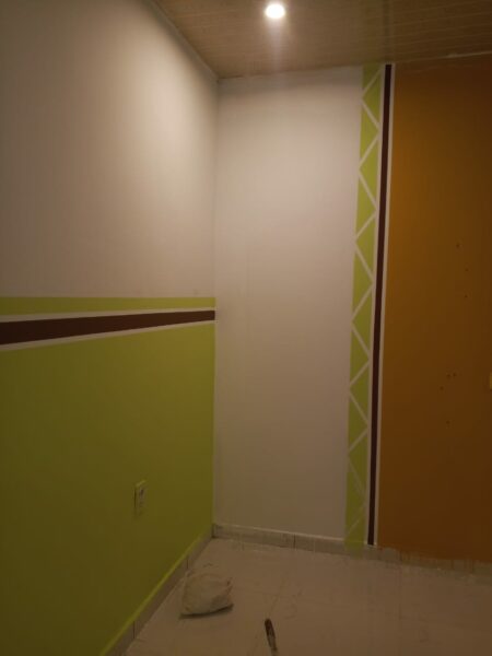 Peintre professionnel à vôtre service