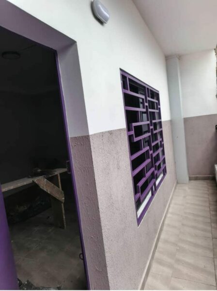 Peintre professionnel à vôtre service