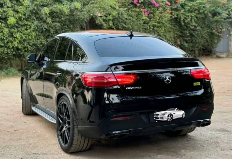 Location d'une GLE 450 AMG