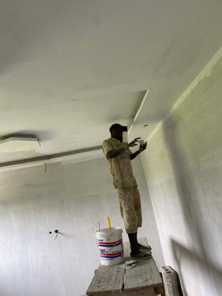 Peintre professionnel à vôtre disposition