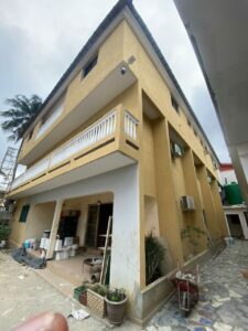 Peintre professionnel à vôtre service