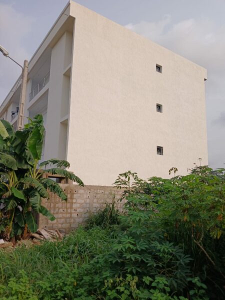 Peintre professionnel à vôtre service