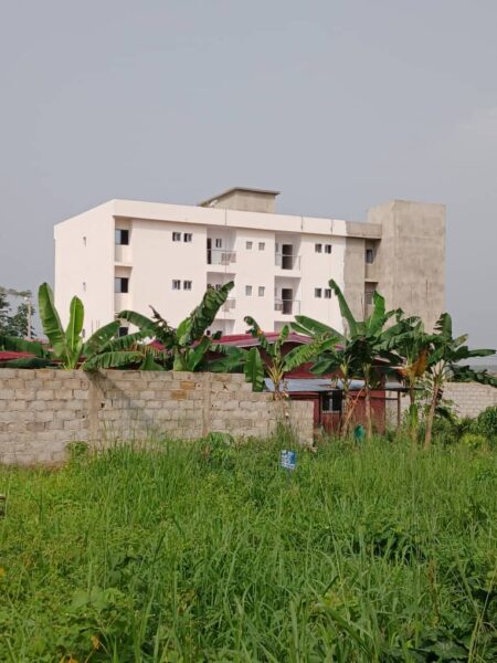 Peintre professionnel à vôtre service