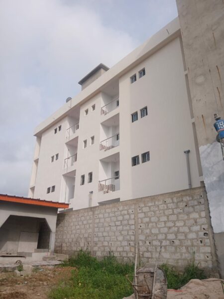 Peintre professionnel à vôtre service