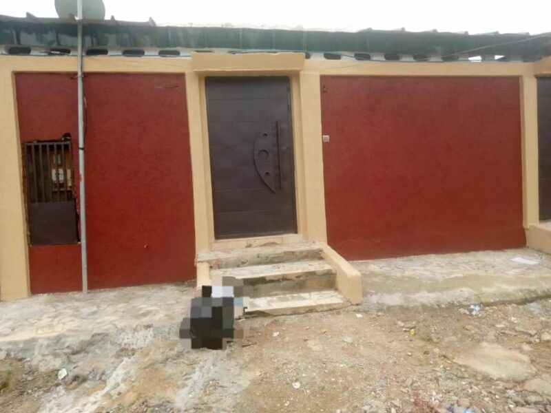 Peintre professionnel à vôtre service