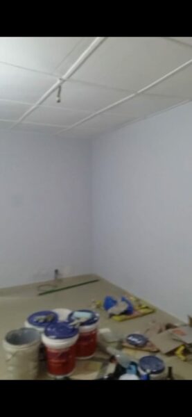 Peintre professionnel à vôtre disposition