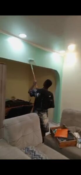 Peintre professionnel à vôtre disposition