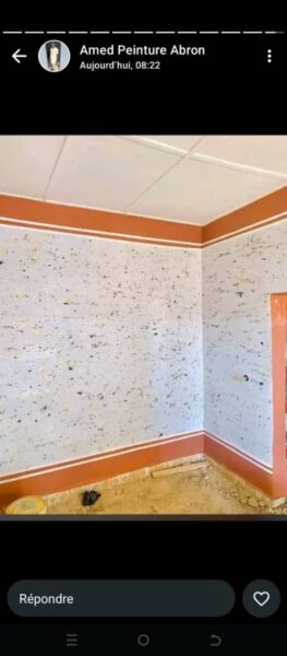 Peintre professionnel à vôtre disposition