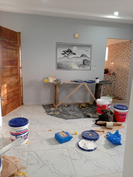 Peintre dessinateur professionnel à vôtre service