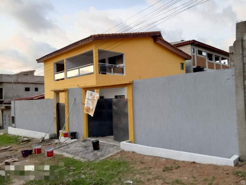 Peintre professionnel à vôtre service