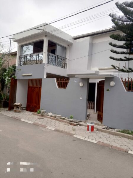 Peintre professionnel à vôtre service