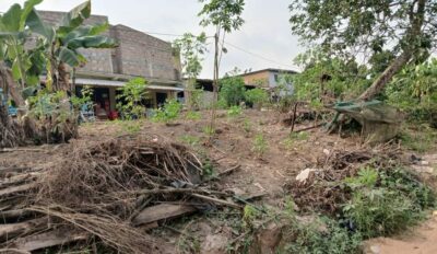 Location de terre agricole sur brofodoumé