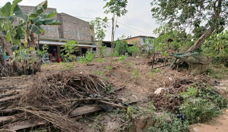 Location de terre agricole sur brofodoumé