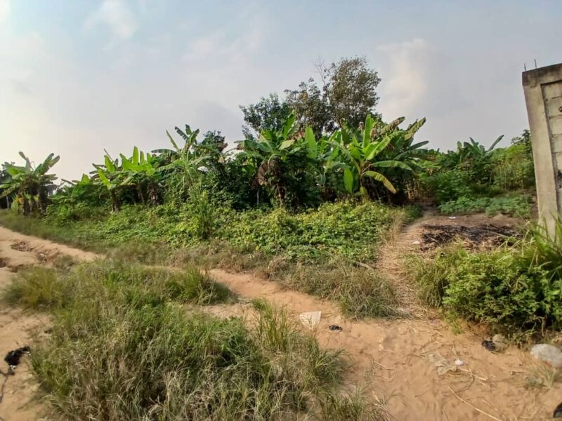location de terre agricole sur brofodoumé