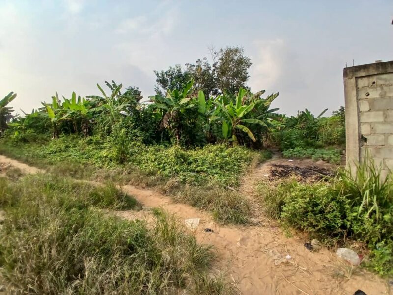 location de terre agricole sur brofodoumé