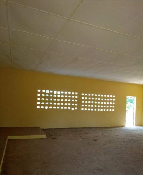 Peintre professionnel à vôtre service