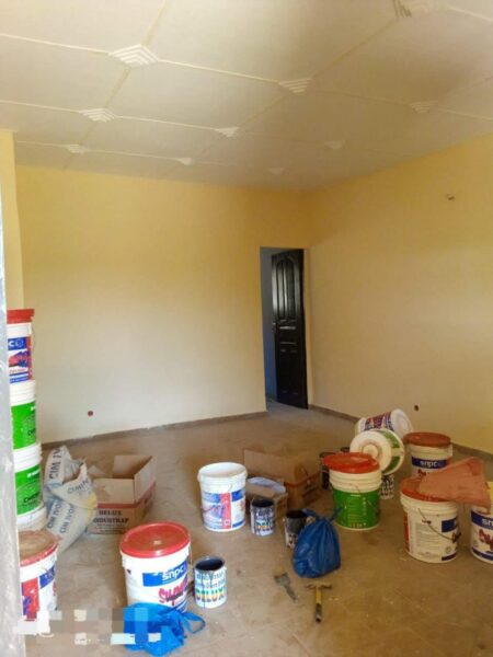 Peintre professionnel à vôtre service