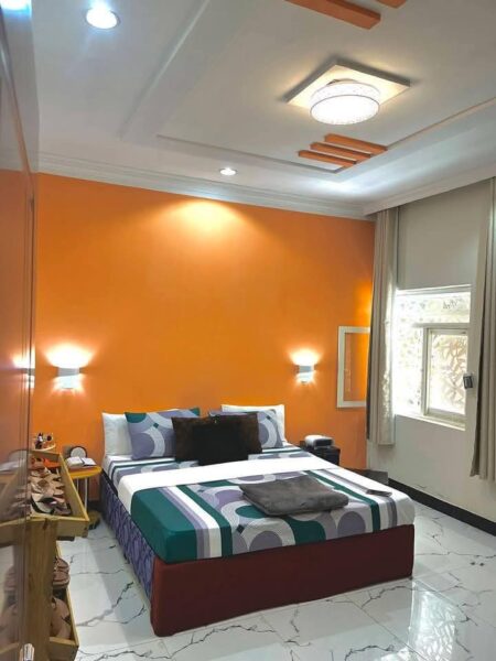 Peintre professionnel à vôtre service