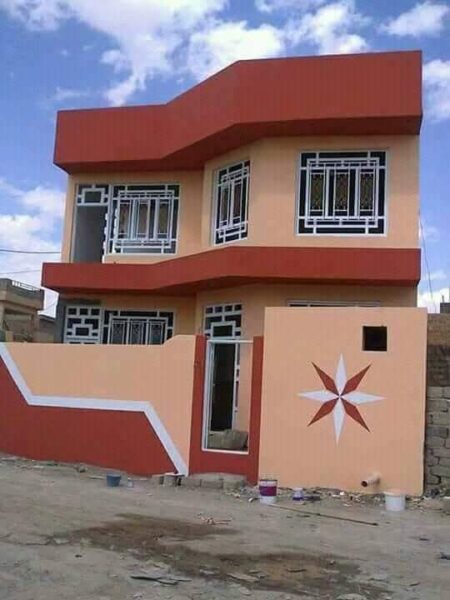 Peintre professionnel à vôtre service