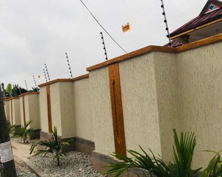 Peintre professionnel à vôtre service