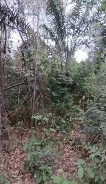 Location de terre agricole sur M'Batto