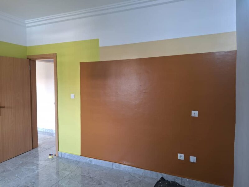 Peintre professionnel à vôtre service