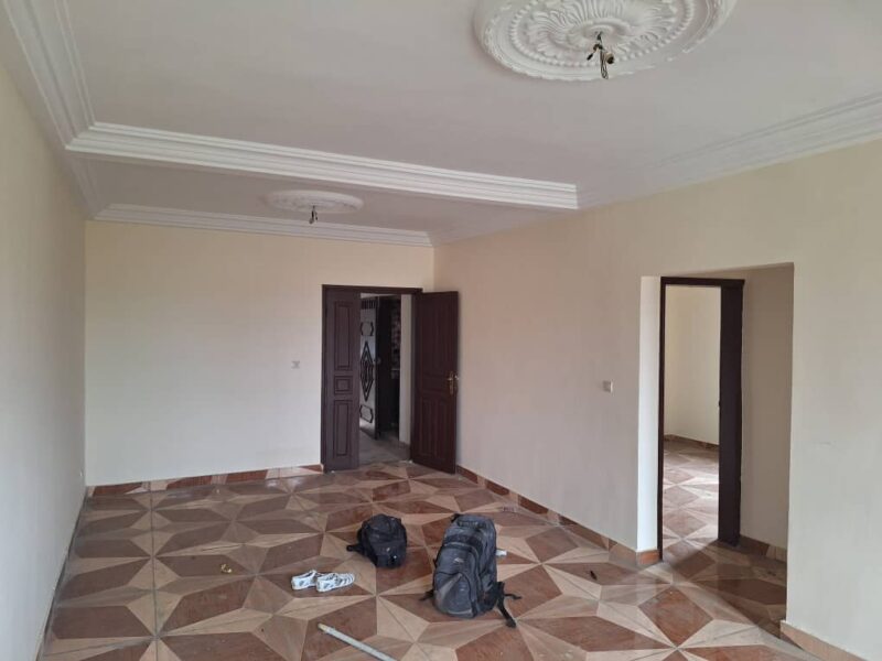 Peintre professionnel à vôtre service