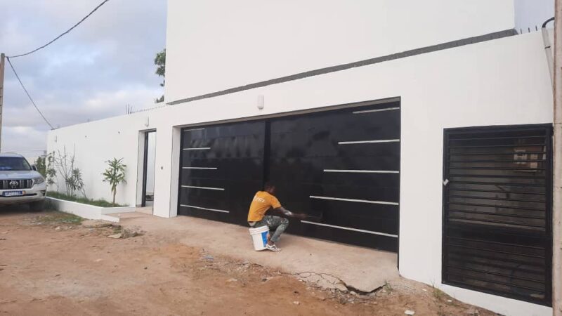 Peintre professionnel à vôtre service