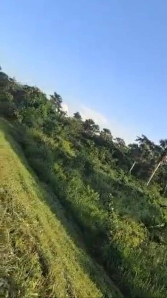 Terre agricole à louer sur l'autoroute de Yamoussoukro
