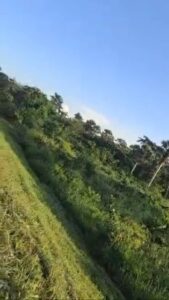 Location de terre agricole sur Pakobo