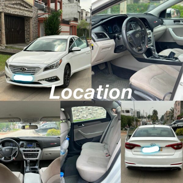 Location d'une Hyundai Sonata