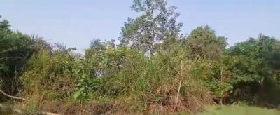 Location de terrain agricole sur Brofodoumé