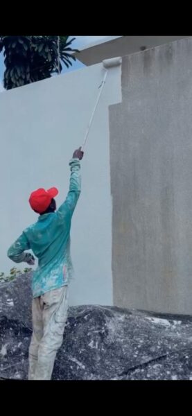 Peintre professionnel à vôtre service