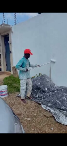 Peintre professionnel à vôtre service