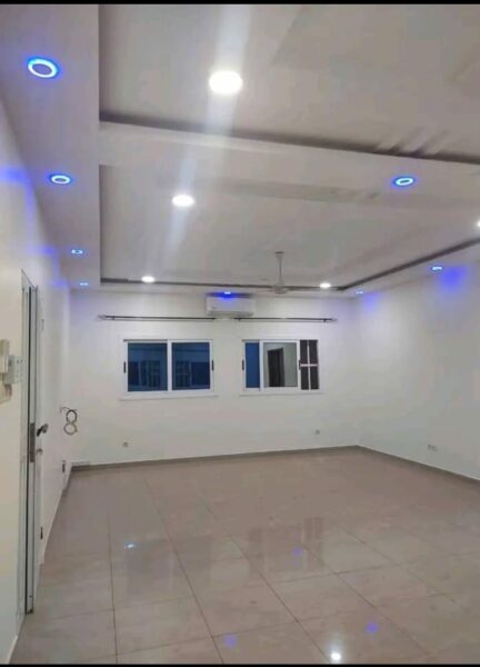 Peintre professionnel à vôtre disposition