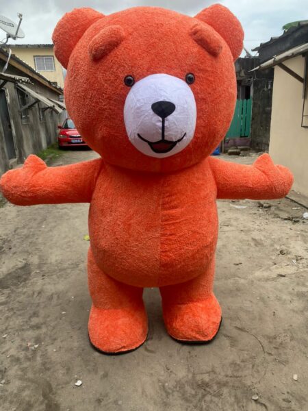 Location de mascotte pour vos évènements