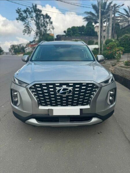 Location de Hyundai palissade