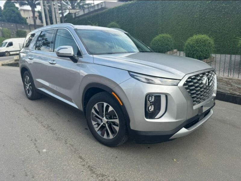 Location de Hyundai palissade