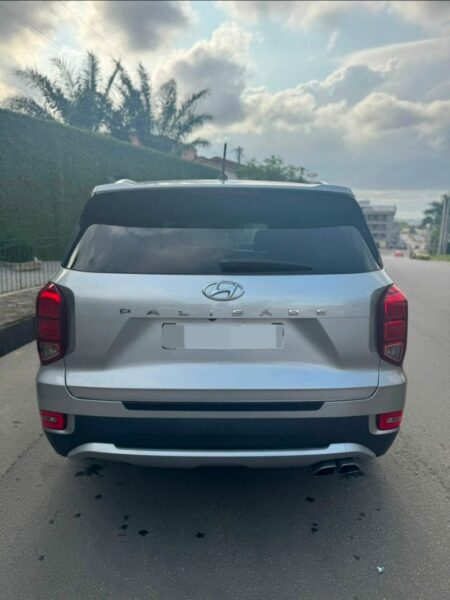 Location de Hyundai palissade