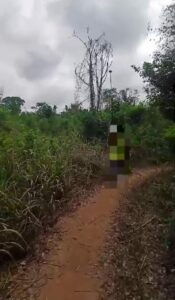 Location de terre agricole sur Brofodoumé