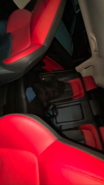 Location d'un SUV Changan CS55