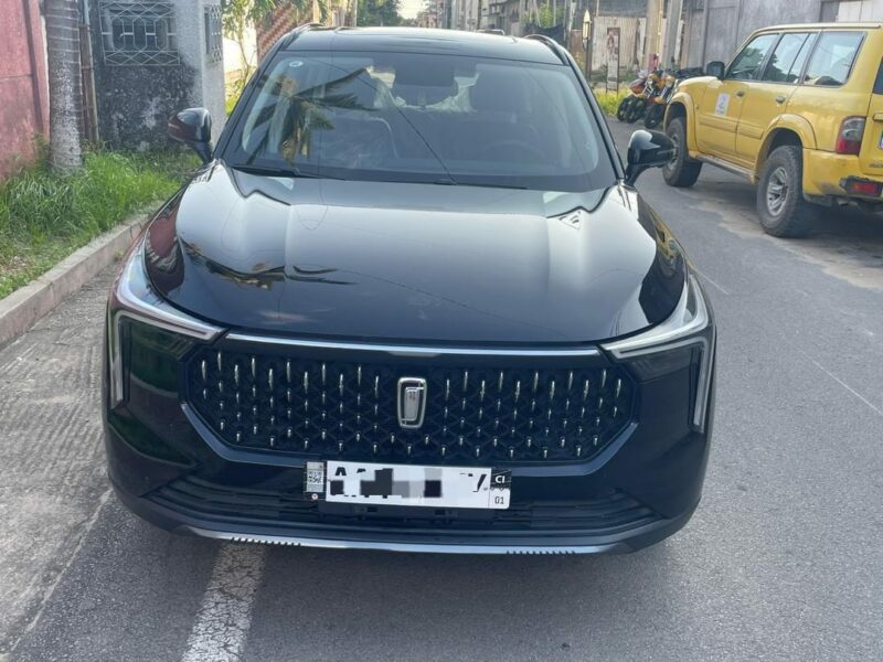 Location d'un SUV Bestune